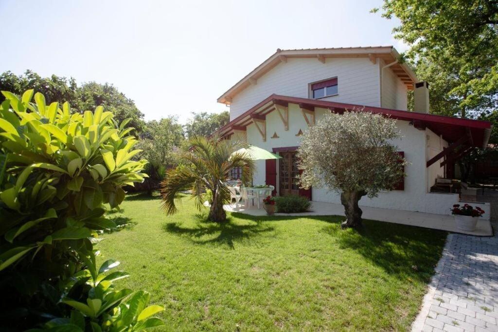 Villa Robert Shumann, A 700 M De La Plage Andernos-les-Bains Buitenkant foto